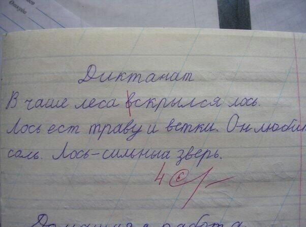 Прикольные картинки (50 фото)