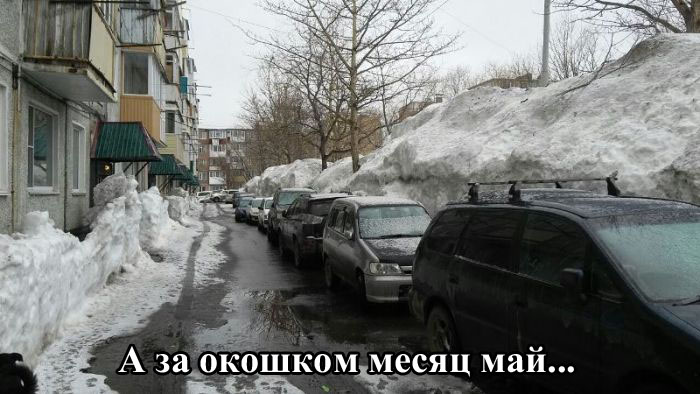 Порция картинок