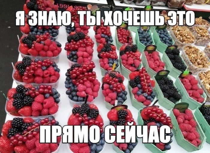 Порция картинок