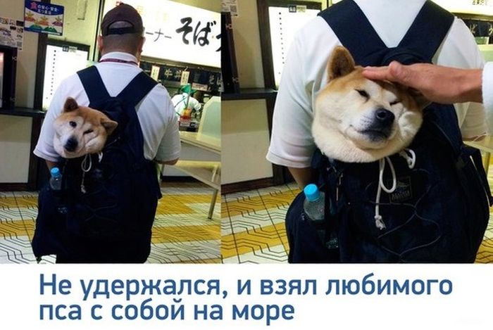 Порция картинок