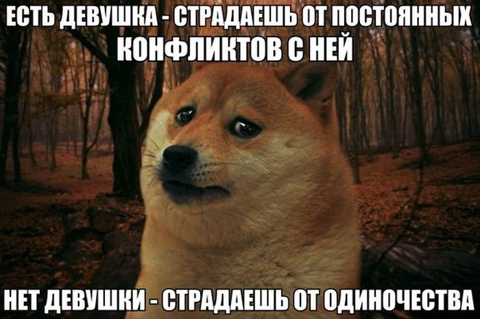 Порция картинок