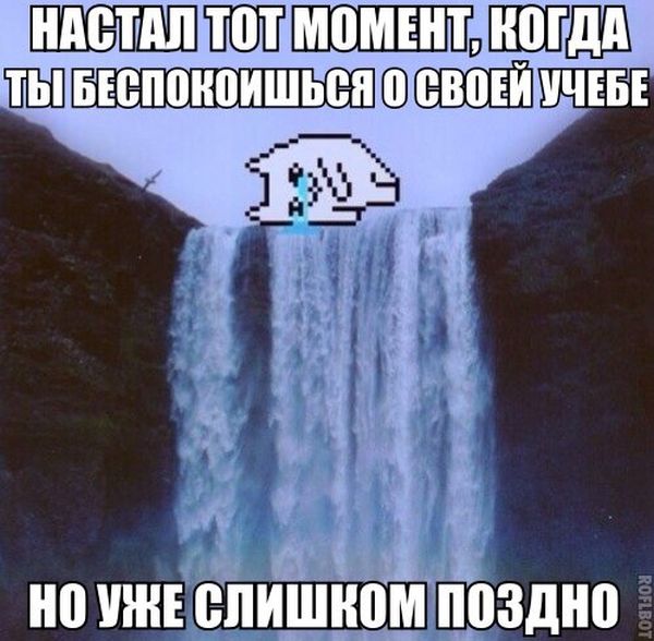 Порция картинок