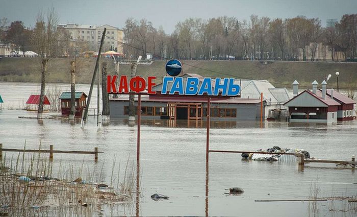 Порция картинок