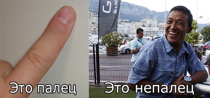 Порция картинок