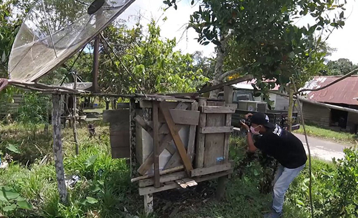 Орангутанг Котап освободился от клетки, в которой провел полжизни