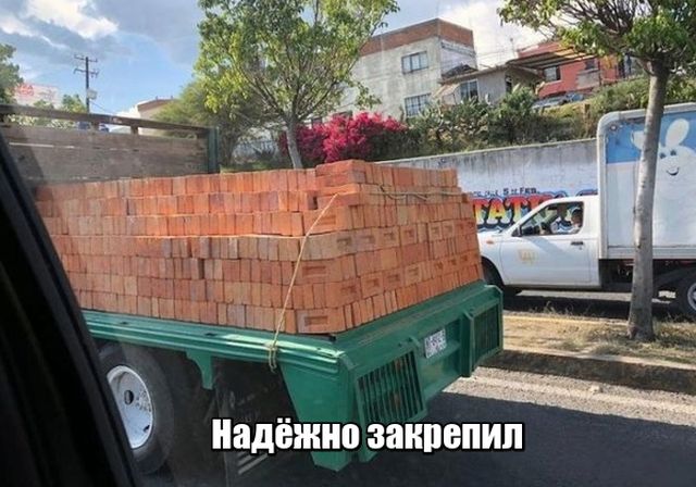 Прикольные картинки