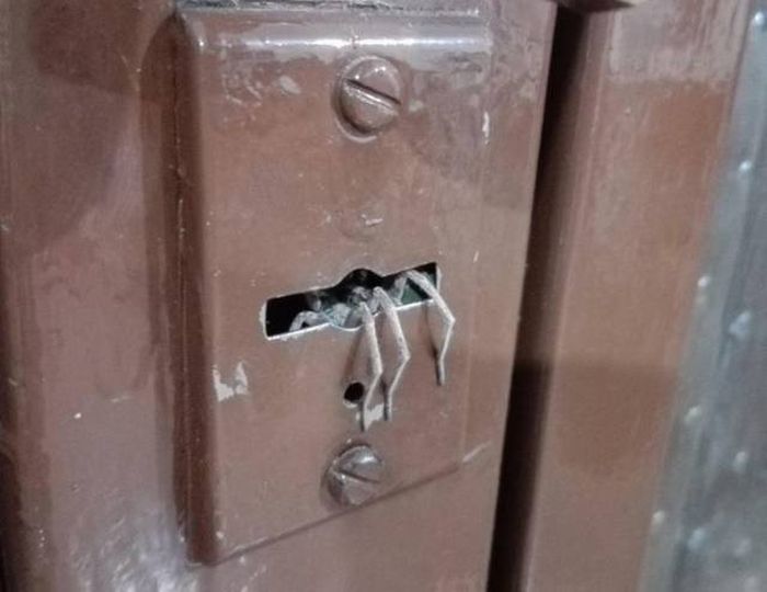 Жуткие фото