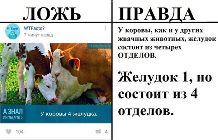 Правда и ложь в популярных пабликах «ВК»