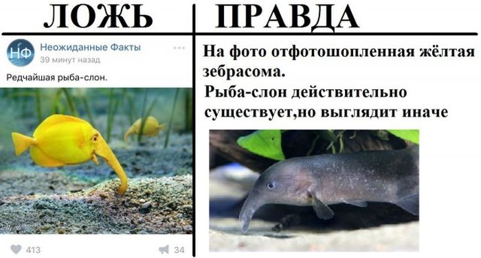 Правда и ложь в популярных пабликах «ВК»