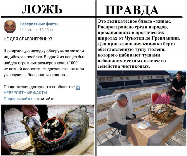 Правда и ложь в популярных пабликах «ВК»