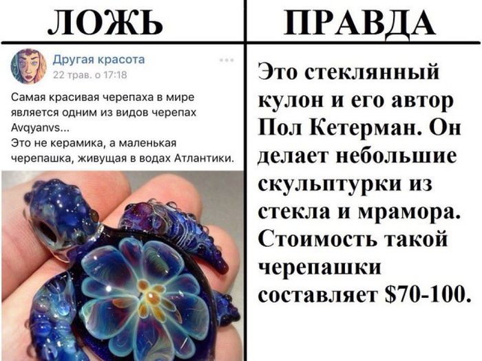 Правда и ложь в популярных пабликах «ВК»
