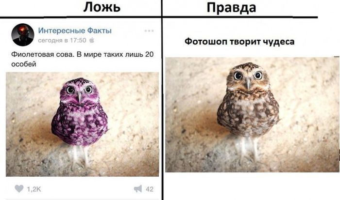 Правда и ложь в популярных пабликах «ВК»
