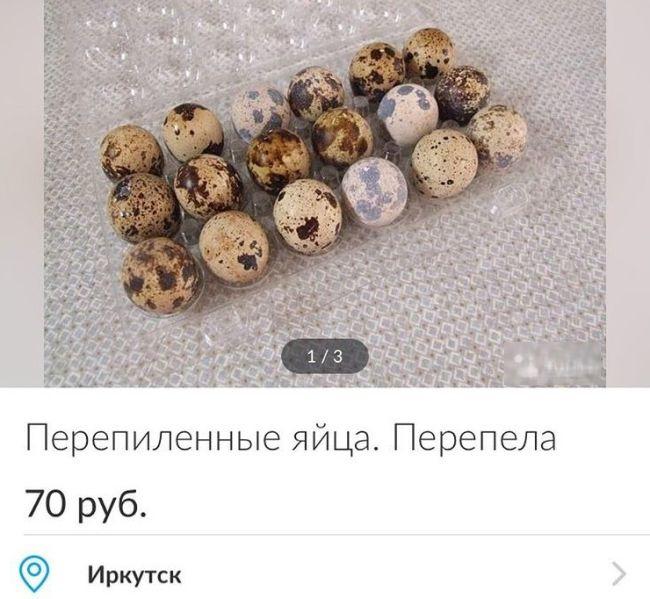 Вывески,ценники и объявления, на которые нельзя не обратить внимания
