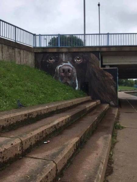 Прикольные картинки