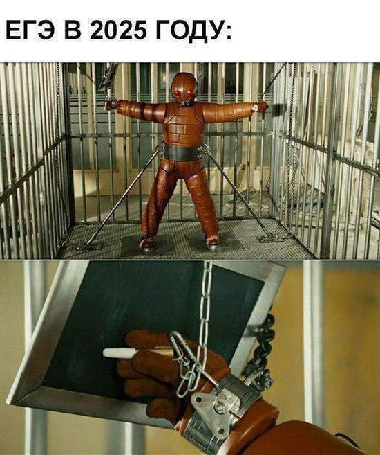 Прикольные картинки