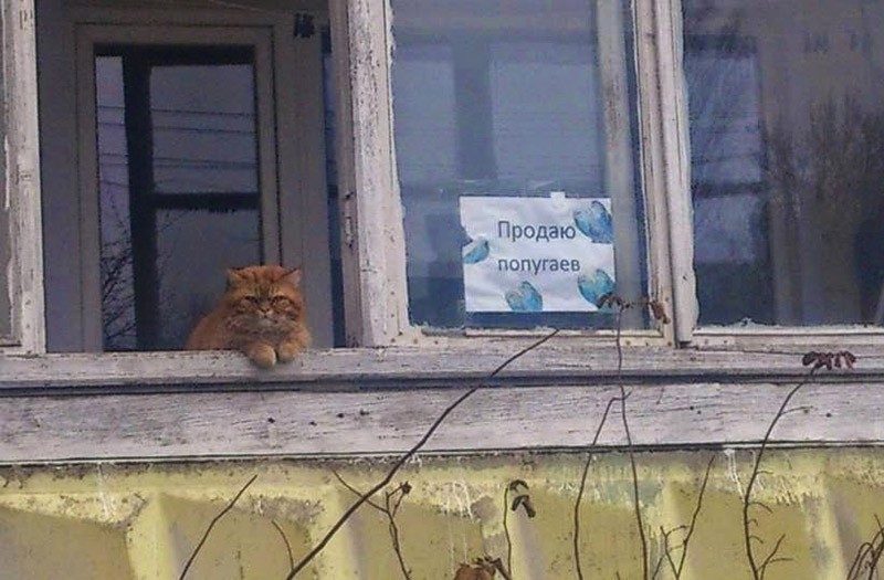 Душевный копирайтинг от народа