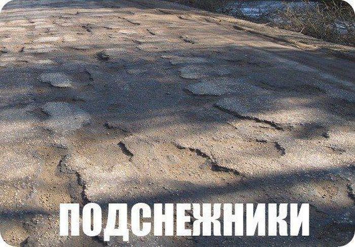 Кучка автоприколов