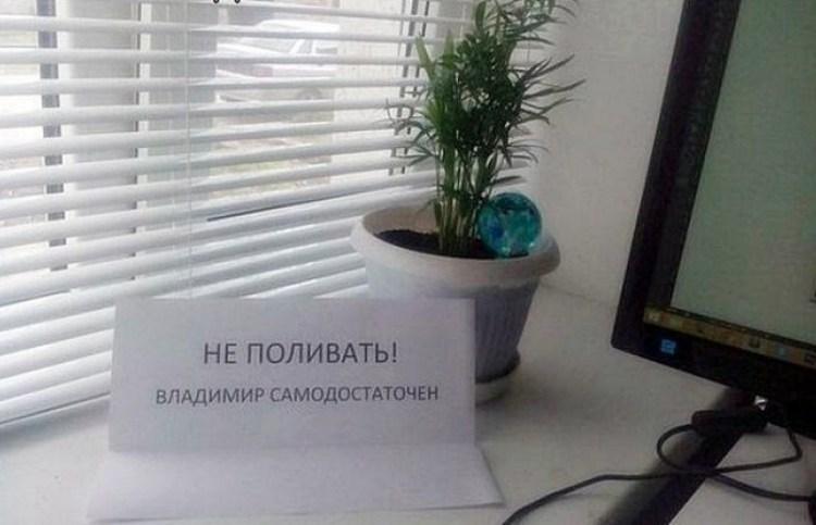 Веселые записки от сильных и независимых женщин