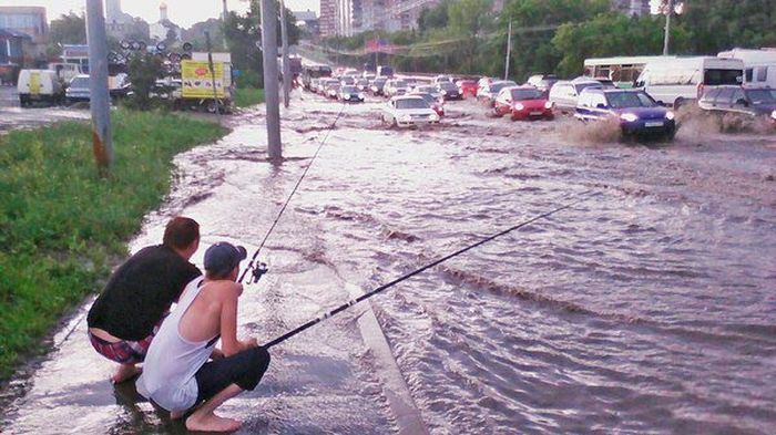 Прикольные картинки
