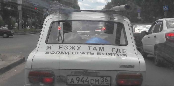 Прикольные картинки