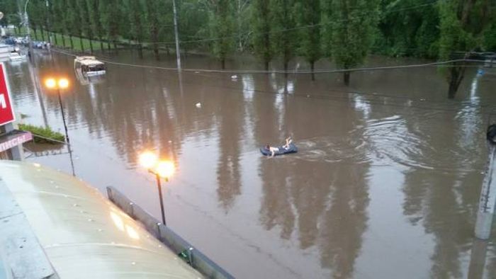 Прикольные картинки