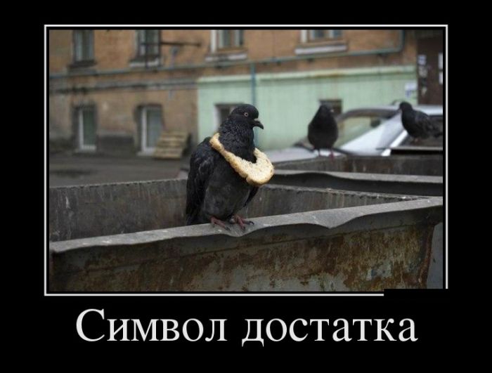Демотиваторы