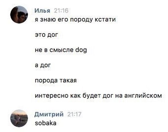 Юмор из соцсетей
