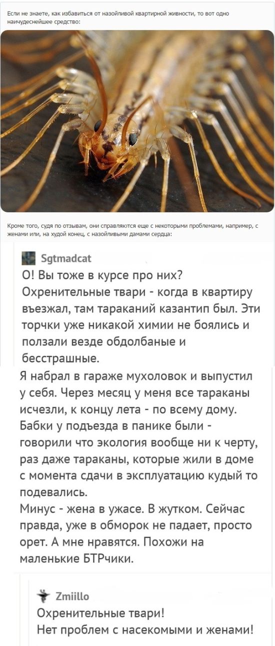 Юмор из соцсетей