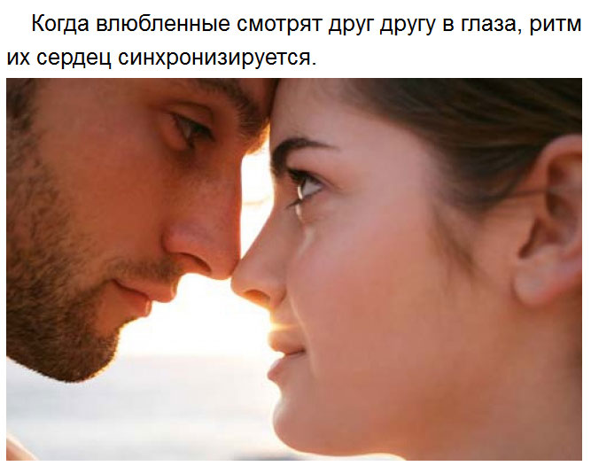 Милые факты