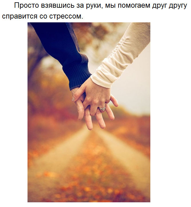 Милые факты