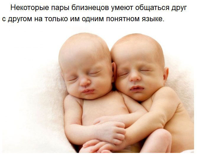 Милые факты