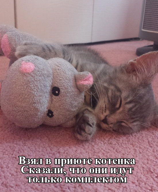 Порция картинок