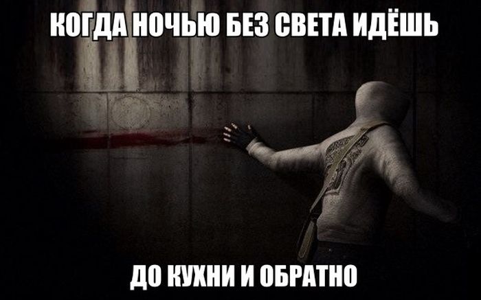 Порция картинок