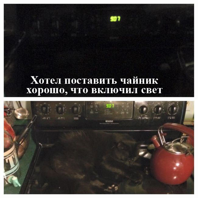 Порция картинок