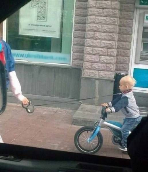 Порция картинок