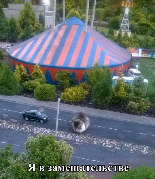 Порция картинок