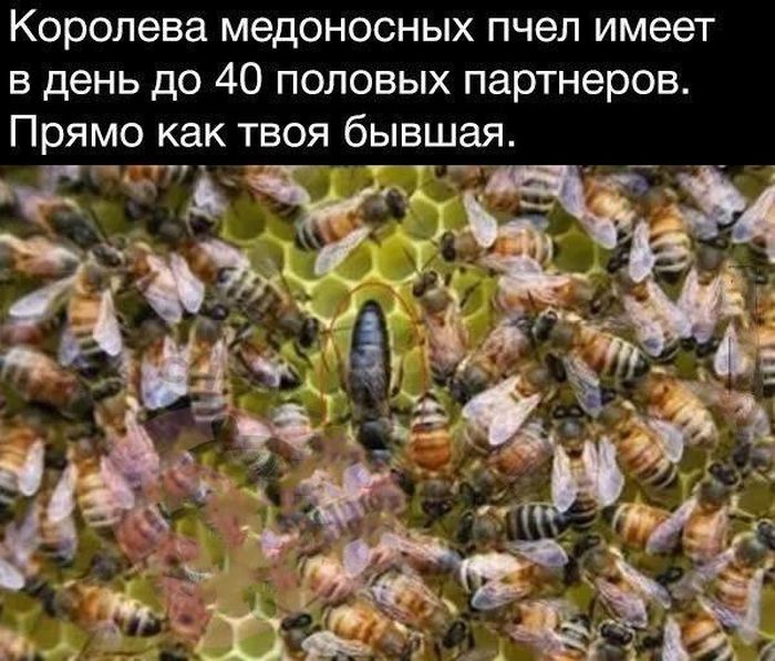 Подборка черного юмора