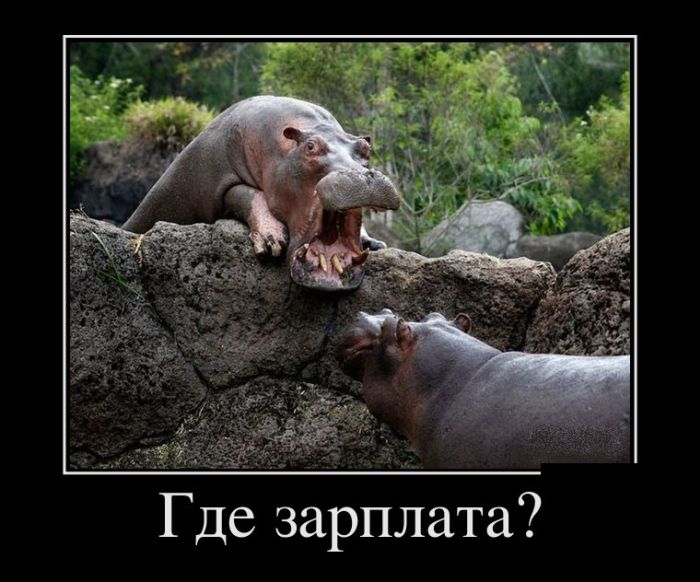 Демотиваторы
