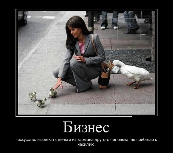 Демотиваторы