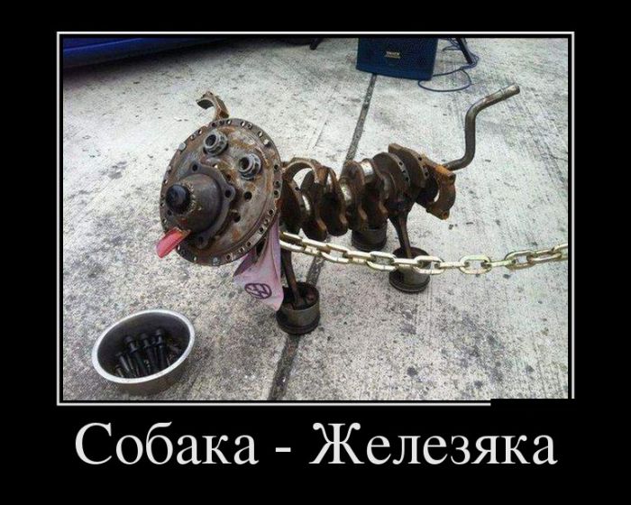 Демотиваторы