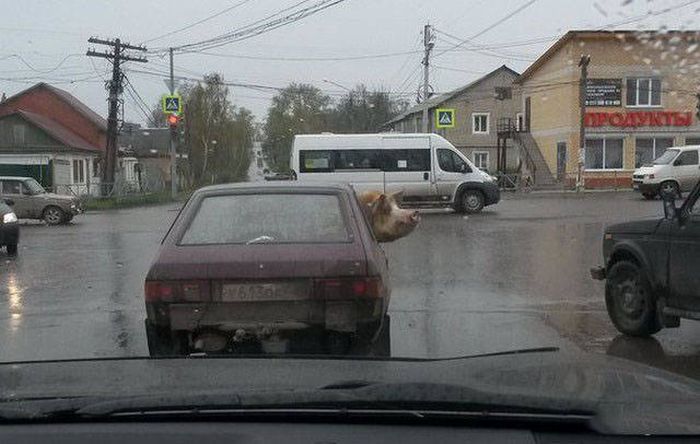 Фото, которые возможно было сделать только в России