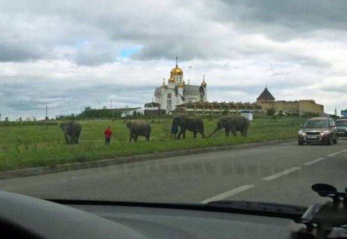 Фото, которые возможно было сделать только в России