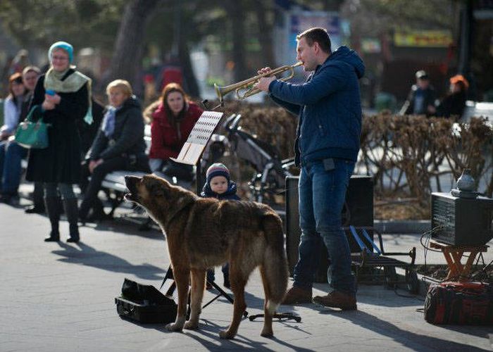 Фото, которые возможно было сделать только в России