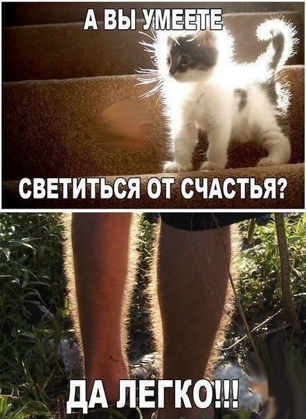 Картинки со смешными надписями