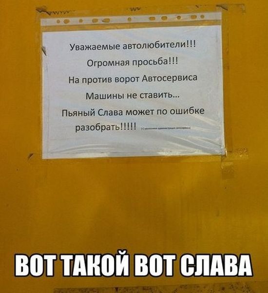 Картинки со смешными надписями