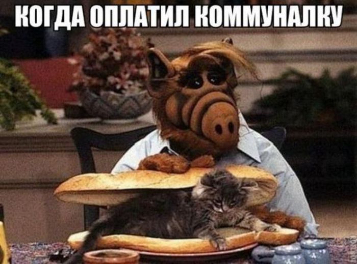 Картинки со смешными надписями