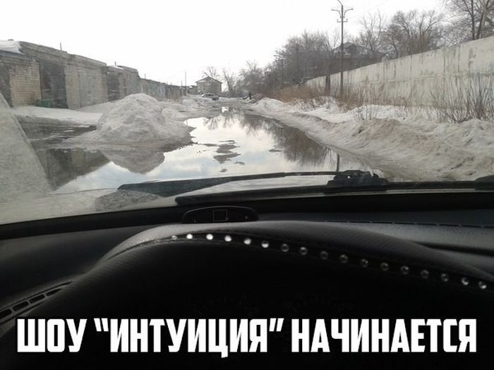Картинки со смешными надписями