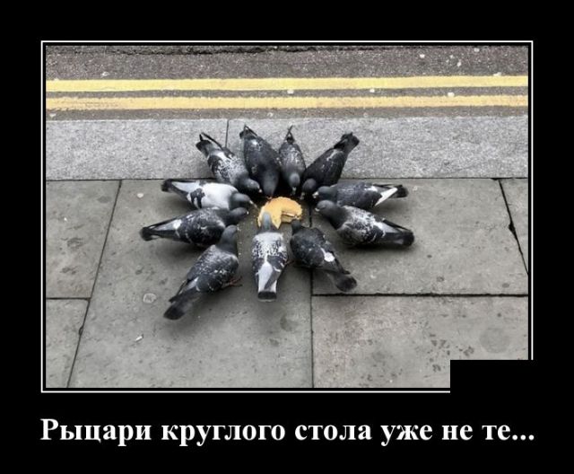 Демотиваторы