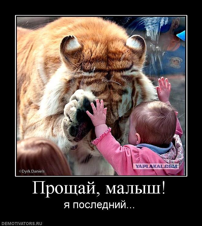 Демотиваторы (63 фото)