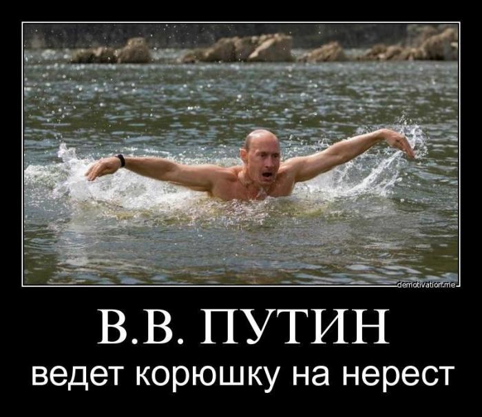 Демотиваторы (63 фото)